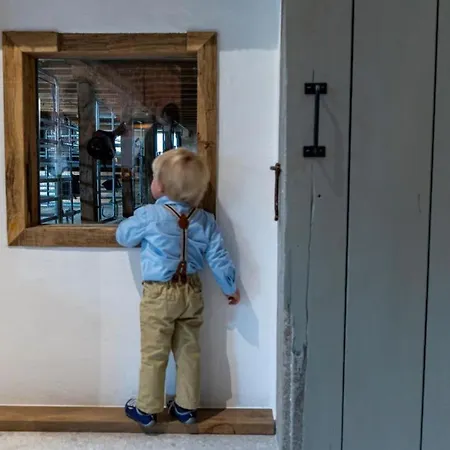 Landurlaub Mit Neugierigen Blicken In Den Pferdestall, Eingezaeuntem Garten, Kamin Und Sauna