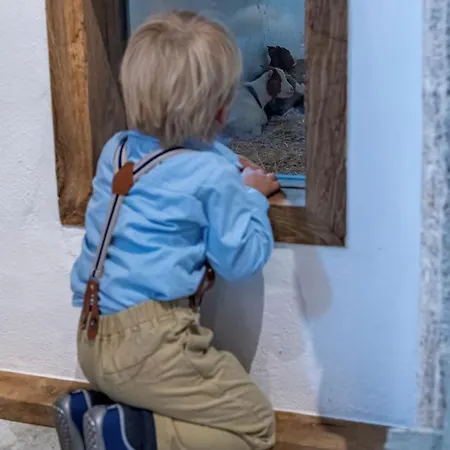 Feriehus Landurlaub Mit Neugierigen Blicken In Den Pferdestall, Eingezaeuntem Garten, Kamin Und Sauna Rot am See