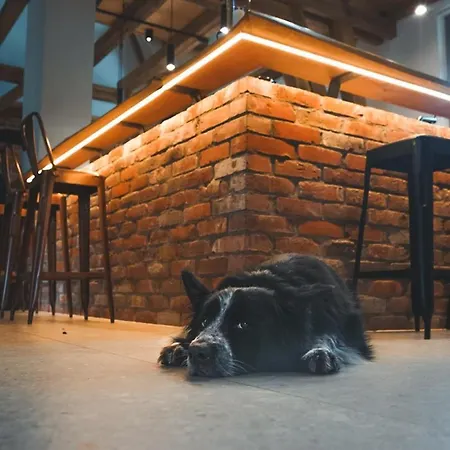 Landurlaub Mit Neugierigen Blicken In Den Pferdestall, Eingezaeuntem Garten, Kamin Und Sauna