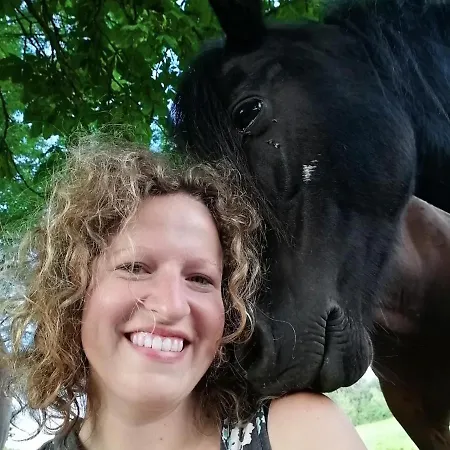 Feriehus Landurlaub Mit Neugierigen Blicken In Den Pferdestall, Eingezaeuntem Garten, Kamin Und Sauna Rot am See