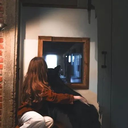 Landurlaub Mit Neugierigen Blicken In Den Pferdestall, Eingezaeuntem Garten, Kamin Und Sauna *