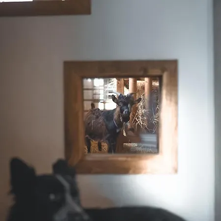 Landurlaub Mit Neugierigen Blicken In Den Pferdestall, Eingezaeuntem Garten, Kamin Und Sauna *