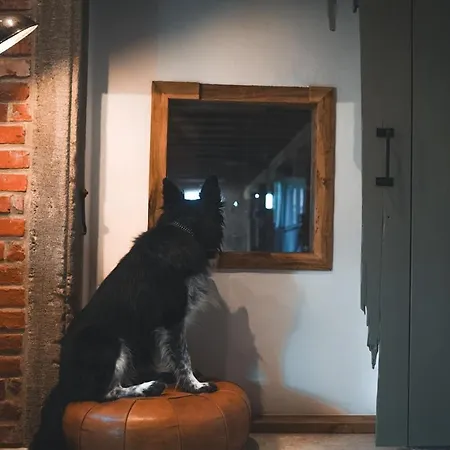 Landurlaub Mit Neugierigen Blicken In Den Pferdestall, Eingezaeuntem Garten, Kamin Und Sauna