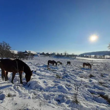 Landurlaub Mit Neugierigen Blicken In Den Pferdestall, Eingezaeuntem Garten, Kamin Und Sauna Feriehus