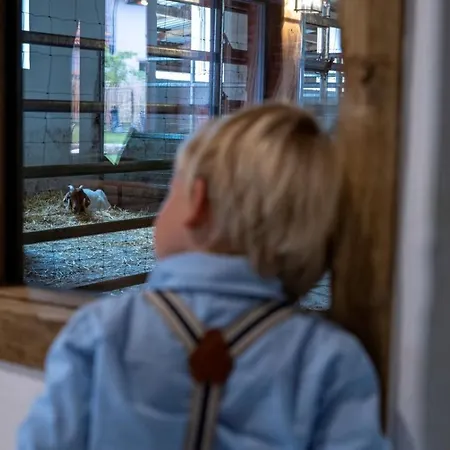 Landurlaub Mit Neugierigen Blicken In Den Pferdestall, Eingezaeuntem Garten, Kamin Und Sauna Feriehus Rot am See